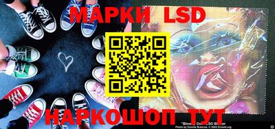 гидропоника Кингисепп