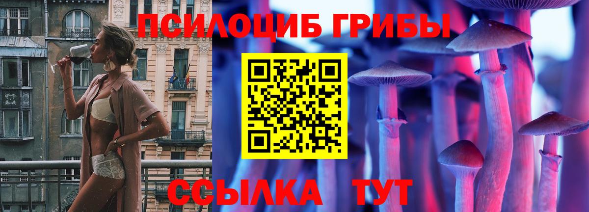 Кудрово  Галлюциногенные грибы GOLDEN TEACHER  Вход с VPN  Псилоцибиновые грибы ЛСД 