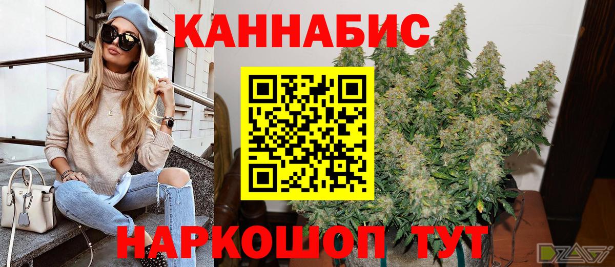 Каннабис Amnesia Кудрово